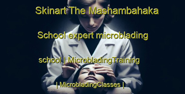 Skinart The Mashambahaka School expert microblading school | MicrobladingTraining | MicrobladingClasses | SkinartTraining-Zimbabwe